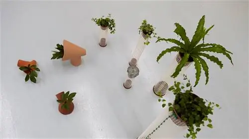 Экспонаты выставки 'Mujer X Mujer / Woman X Woman