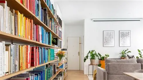 Дом для коллекции книг