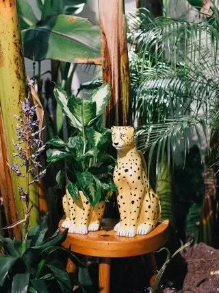 Городские джунгли от DOIY