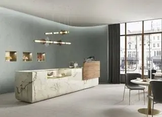 Ослепительный каррарский мрамор приходит на вашу кухню с этой новой текстурой от SapienStone. Его белый фон с прожилками…