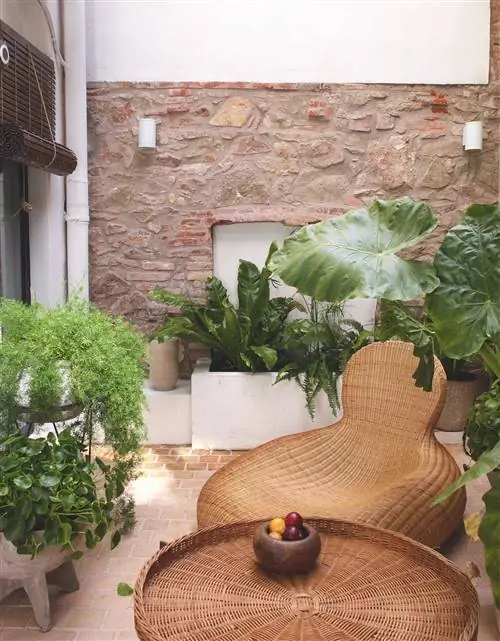 Внутренний центральный внутренний дворик с мебелью из ротанга и большим количеством естественной растительности