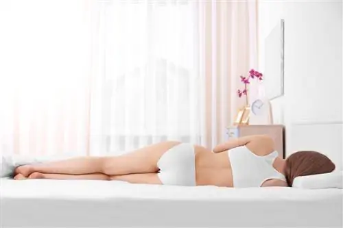 Откройте для себя с Теркси защитный пузырь Terfeel для отдыха без перерыва