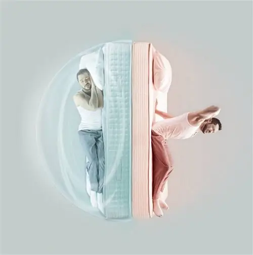 Откройте для себя с Теркси защитный пузырь Terfeel для отдыха без перерыва