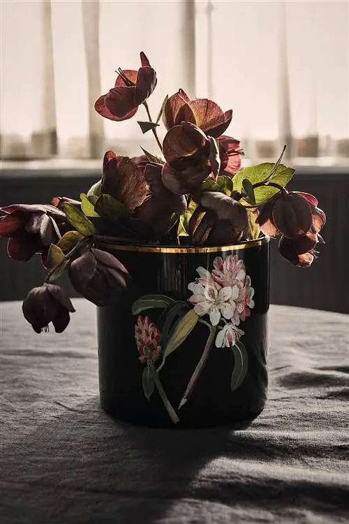 Новая коллекция HM HOME в Британском музее