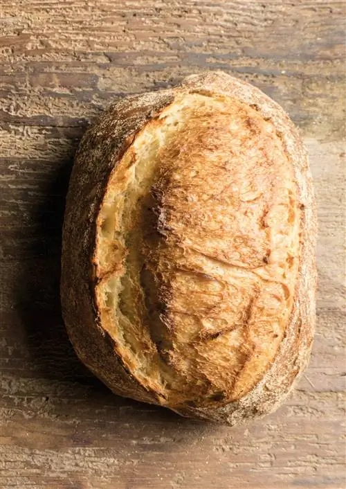 Рецепты приготовления хлеба и очень простой способ в одной книге