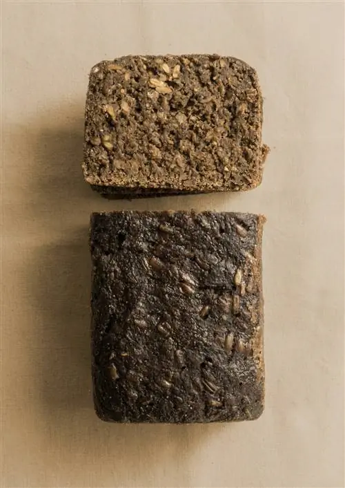 Рецепты приготовления хлеба и очень простой способ в одной книге