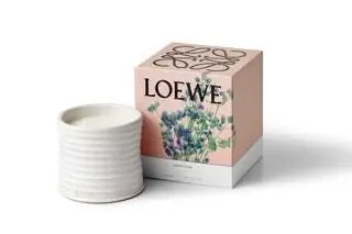 Линия nbspLOEWE Home Scents состоит из 11 ароматов nbsparoma, вдохновленных ботаническим садом. Придумано Джонатаном…