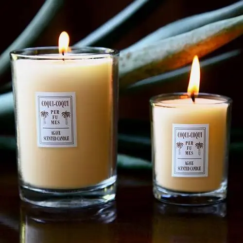 Свечи 'Agave Scented Candle' от 'Coqui Coqui&39