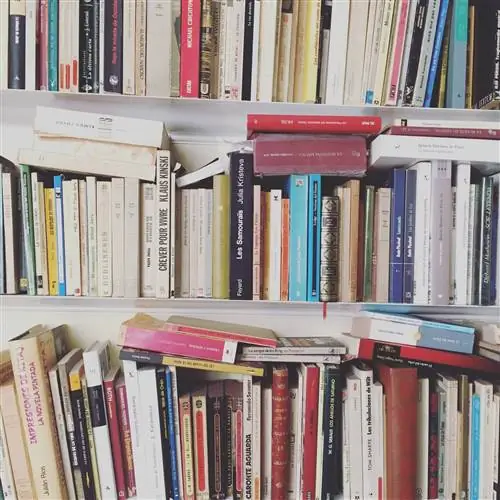 «Я не люблю накапливать, но думаю, что собираю только книги»
