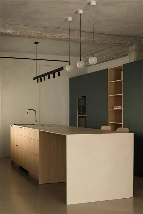 Вид на кухню-студию