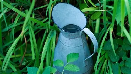 ЭКОЛОГИЧНЫЕ ДОМА: Как собирать дождевую воду?