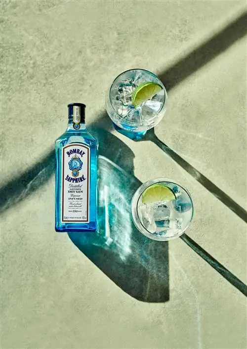 Это яркая и чувственная кампания Bombay Sapphire