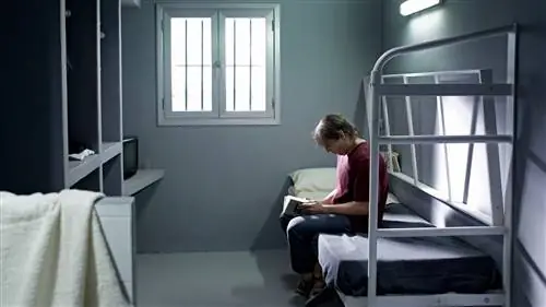 Это эмоциональные УКРАШЕНИЯ 'PATRIA