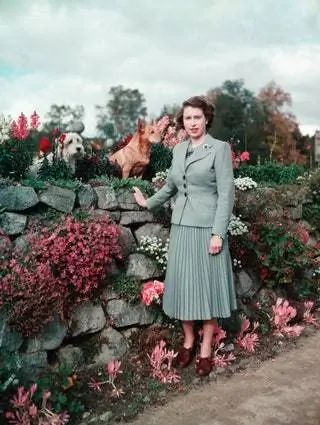 Елизавета II в саду замка Балморал с двумя своими собаками в 1952 году