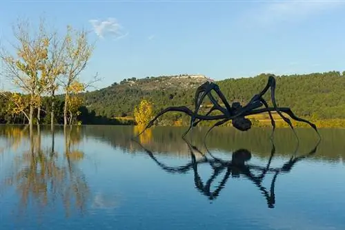 Луиза Буржуа «Крадущийся паук», 2003 год