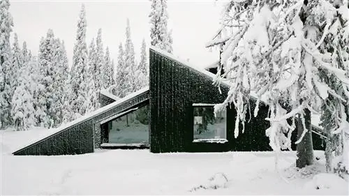Устойчивый, красивый и дизайнерский: мы входим в самую особенную хижину в Норвегии