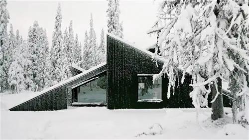Красивый и экологичный дизайн, мы входим в самую особенную кабину в Норвегии