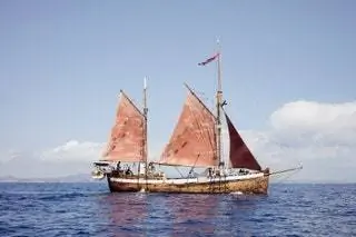 Брэд Робертсон является президентом и соучредителем Save the Med, экологического фонда, который занимается обучением и распространением…