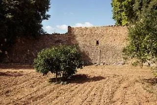 Место для встреч и много природы, то есть Finca Son Fortesa