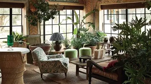 Эмоциональный детокс в самом красивом доме во Франшхуке, знаменитом винодельческом регионе Южной Африки