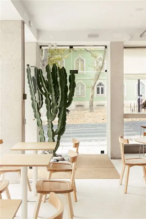 5 очень привлекательных адресов в Лиссабоне, отель, два ресторана, дизайнерский кафетерий и лучшая крыша в городе