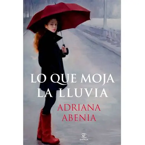 Обложка книги «Что мочит дождь» Абении с иллюстрацией художницы Леонор Соланс