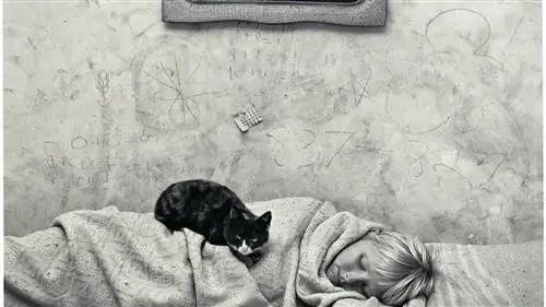 Гламур, МОДА и фотография в коллекции Carla Sozzani