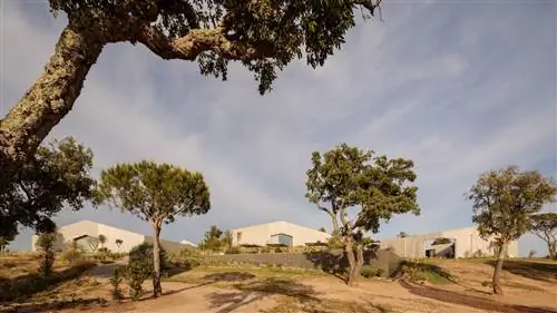 Это новое жилье в Алентежу, куда вам захочется сбежать (и оно не в Компорте)