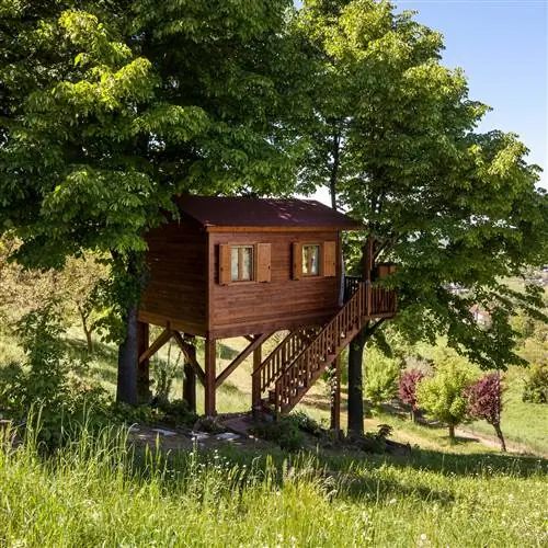Самые сдаваемые домики посреди природы на Airbnb