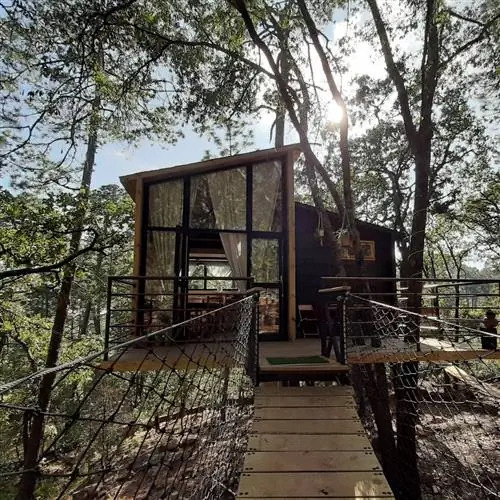 Самые сдаваемые домики посреди природы на Airbnb