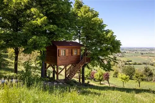 Самые сдаваемые домики посреди природы на Airbnb