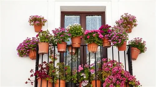 Хитрости, чтобы сделать балкон самым цветочным и веселым летом