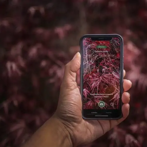 Французы Анн Лакатон и Жан-Филипп Васса стали лауреатами Притцкеровской премии