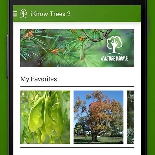 Французы Анн Лакатон и Жан-Филипп Васса стали лауреатами Притцкеровской премии