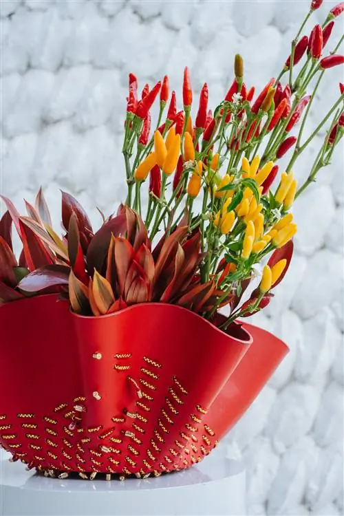 Royal Oak Audemars Piguet 2022