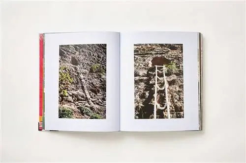 Изображение работы «Человеческие гнезда» Марины Абрамович