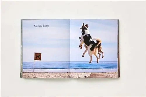 Ты тоже можешь ходить, 2006 год, Кристина Лукас