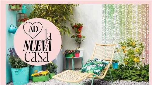 9 прекрасных РАСТЕНИЙ с цветами для вашей ТЕРРАСЫ, которые сопротивляются всему