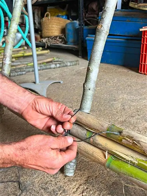 Вот как тростник используется в средиземноморской архитектуре