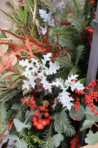 Лучшие профильные специалисты столицы и более 15 флористов, переехавших в заведения…