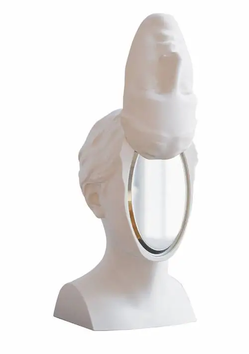 Работа The Represented Self полускульптура-полузеркало чилийского художника Sebastin Errzuriz