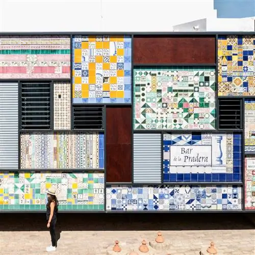 Красочный интерьер проекта Montalvn