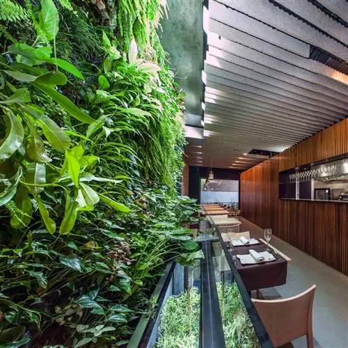 Вертикальный сад и собственная керамическая посуда ждут вас в 'De la O&39