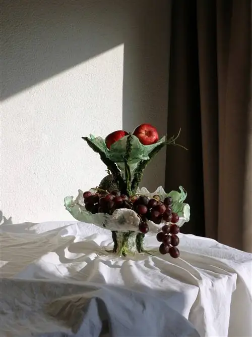 Нуво Фреш