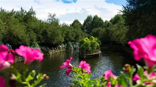 ЛУЧШИЕ ПАРКИ ДЛЯ ПОСЕЩЕНИЯ ЗИМОЙ