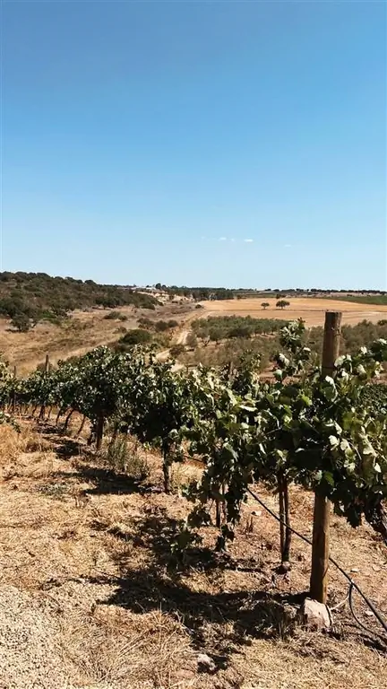 &copy; АД Испания