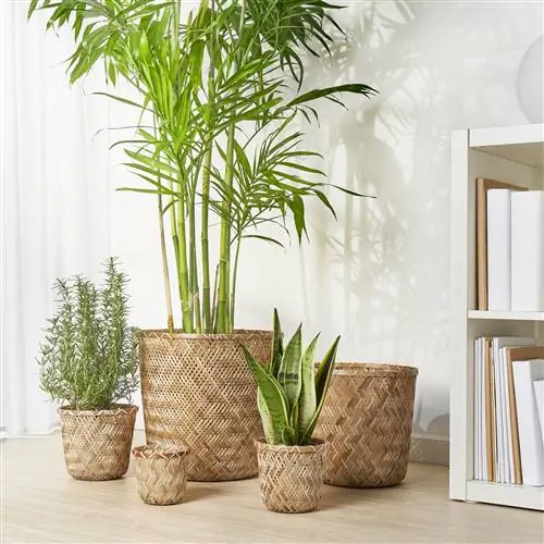 Это 7 новинок Ikea, которые вы захотите встретить летом