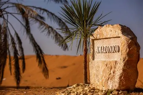 Amazónico прибывает в Саудовскую Аравию с Lzaro RosaVioln