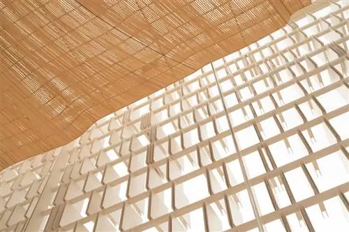 Агора Валенсия, художественное сердце столицы дизайна Валенсии, стала реальностью