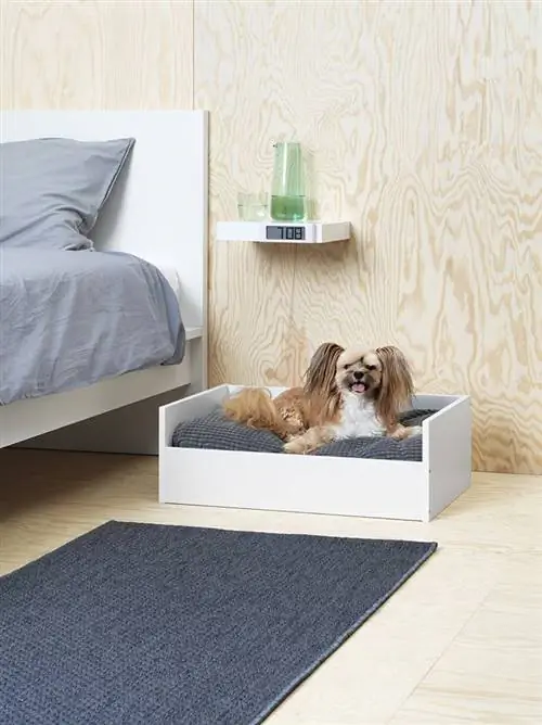 Коллекция Ikea Lurvig предназначена исключительно для кошек и собак